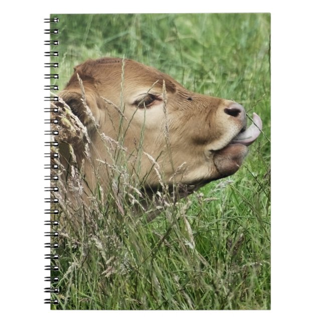 Carnet COW Cute (Devant)
