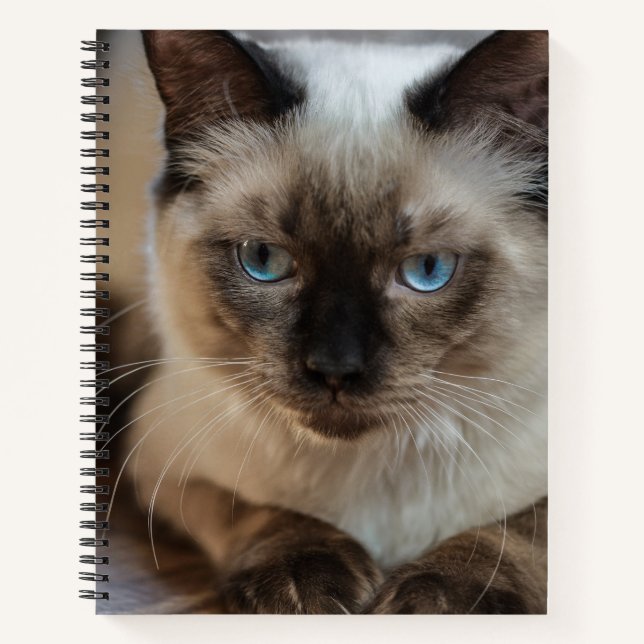 Carnet Créez votre propre animal de compagnie de chat Pho (Devant)