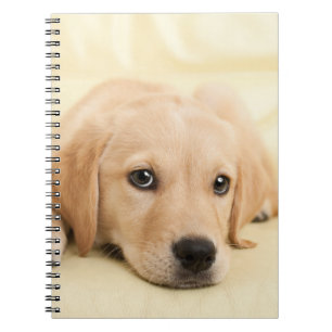 Carnet Créez Votre Propre Photo de Animal de Compagnie Pe