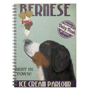 Carnet Crème glacée bernoise