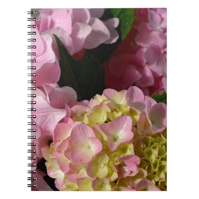 Carnet Crème rose Hydrangeas jaune rose vert floral (Devant)