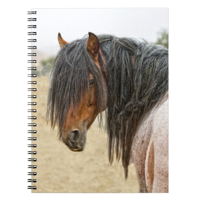 Carnet Crinière de cheval (Devant)