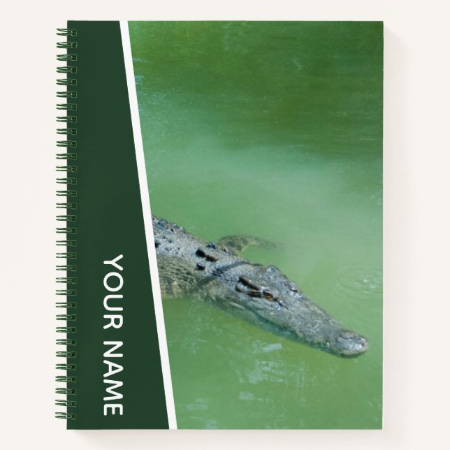 Carnet Crocodile nageant en Australie, vert (Devant)