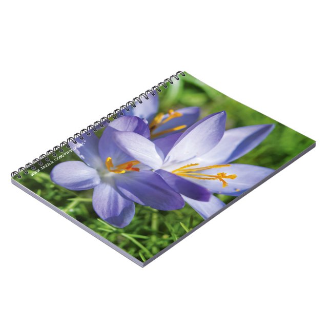 Carnet Crocus (Côté gauche)