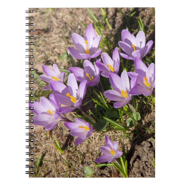 Carnet Crocus de printemps mignons (Devant)