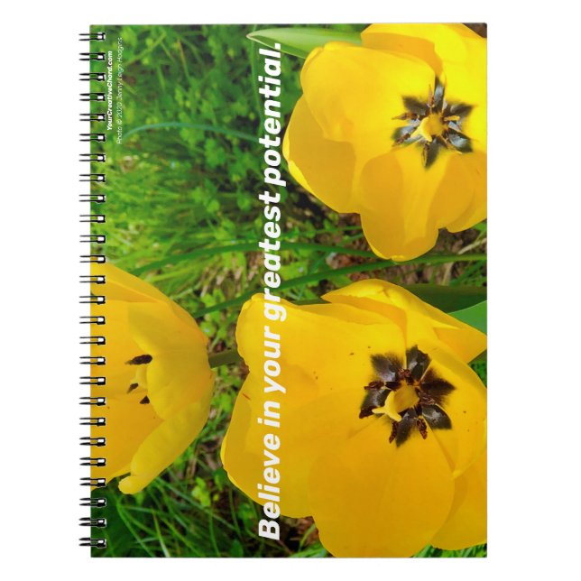 Carnet Croyez En Votre Plus Grand Potentiel. (Devant)