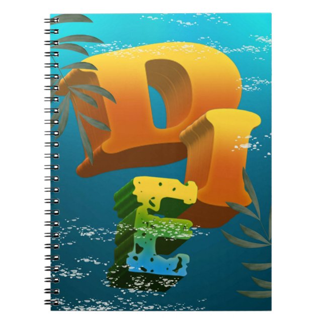 Carnet cuadernillo (Devant)