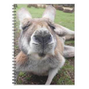 Carnet Cuisine drôle Visage Kangourou Animal éducatif P