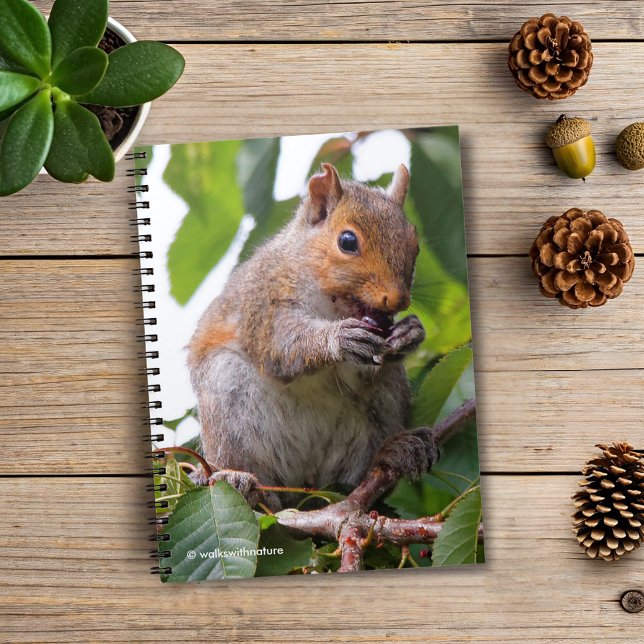 Carnet Cuite Cerise cueillir Écureuil gris (Cherry Picking Eastern Grey Squirrel Journal Cover Photo)