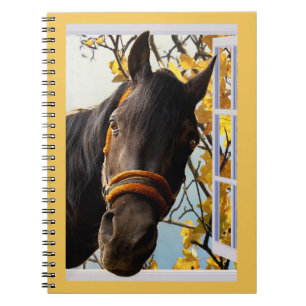 Carnet Curieux Cheval À Travers La Fenêtre De La Cuisine