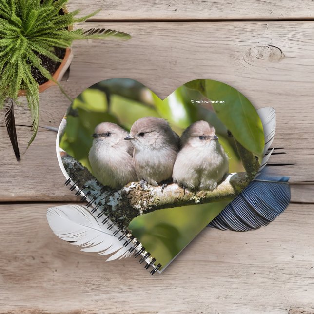 Carnet Cute Baby Bushtit Songbirds (Three Baby Bushtits on the Branch Journal Cover Photo)
