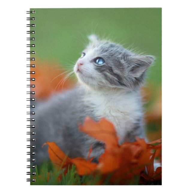 Carnet Cute Baby Kittens Jouer à l'extérieur dans l'herbe (Devant)