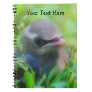 Carnet Cute Baby Waxwing Bird Animal Notebook