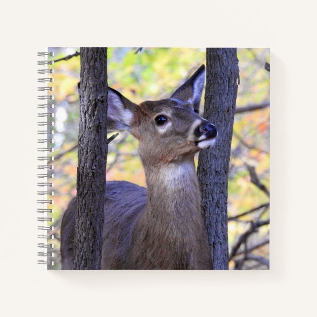 Carnet Cute Deer Close Up (Devant)