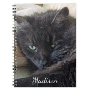 Carnet Cute Fluffy Black Cat Photo Nom personnalisé