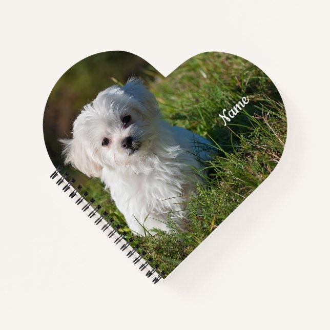 Carnet Cute Fluffy Blanc Maltais Chiot  (Devant)