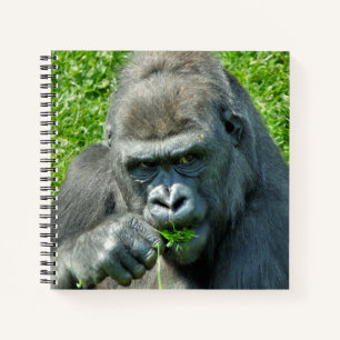 CARNET CUTE GORILLA