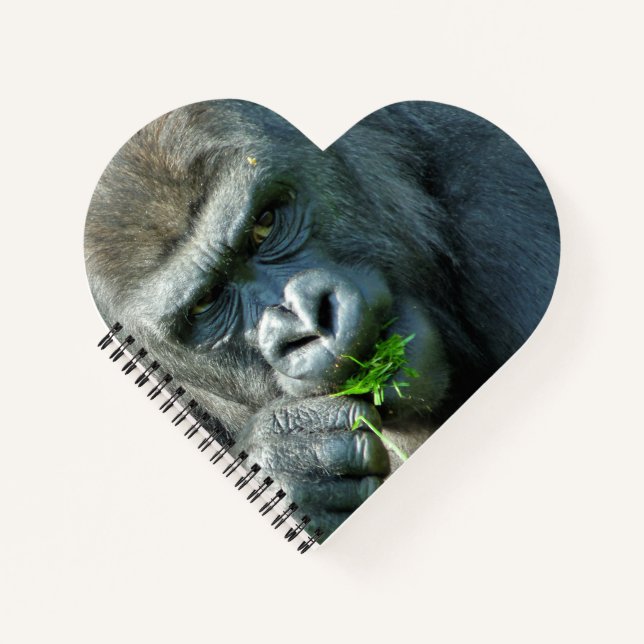 CARNET CUTE GORILLA (Devant)