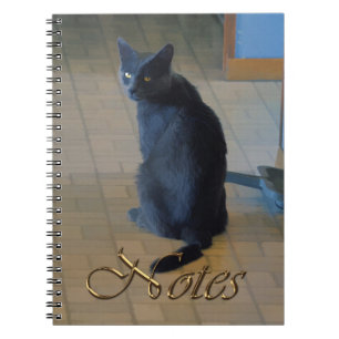 Carnet Cute Grey Farm assis dans Ranch Cuisine