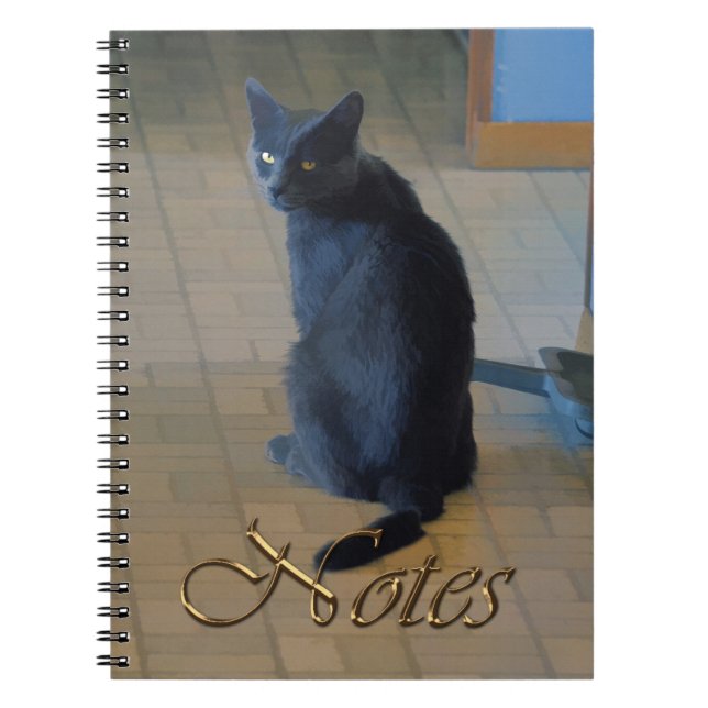 Carnet Cute Grey Farm assis dans Ranch Cuisine (Devant)