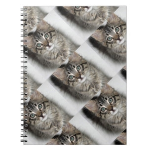 Carnet Cute Kitten Notebook