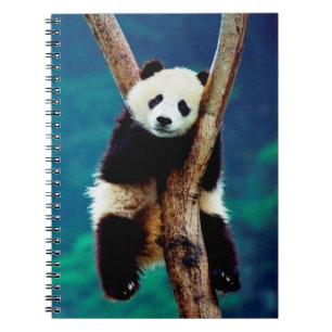 Carnet Cute ours Panda