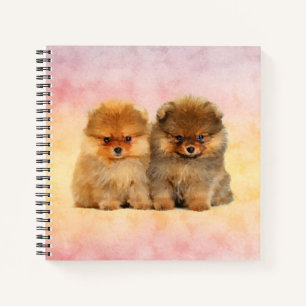 Carnet Cute Pomeranian Allemand Spitz Puppies