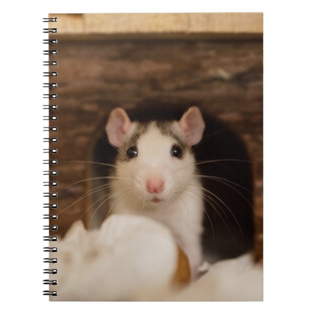 Carnet Cute rat (Devant)