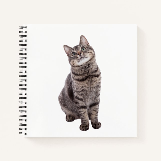 Carnet Cute tabby Chat (Devant)