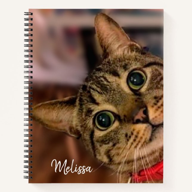Carnet Cute Tabby Chat Personnalisé (Devant)