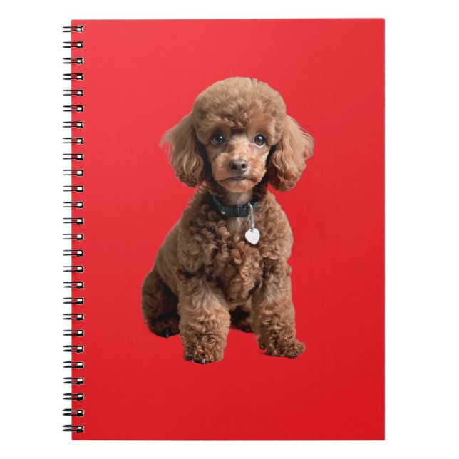 Carnet  Cute Teacup Poodle (Devant)