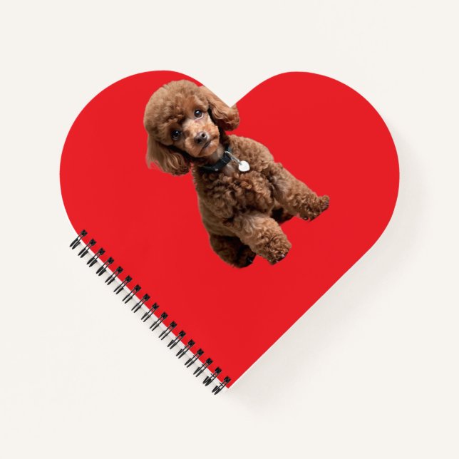 Carnet  Cute Teacup Poodle Red Folder (Devant)