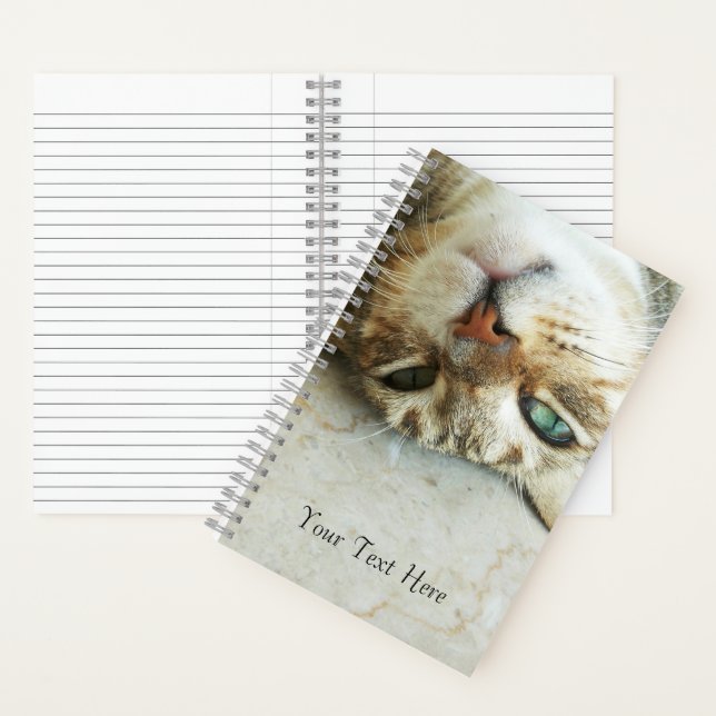 Carnet Cute Upside Down Tabby Cat Personnalisé (À l'intérieur)