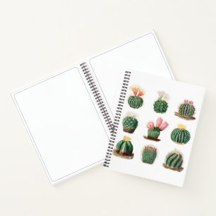 Carnet Cute Vintage Cactus Succulents Sketchbook
