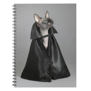 Carnet Cutest Baby Animals Sphynx Hairless Cat