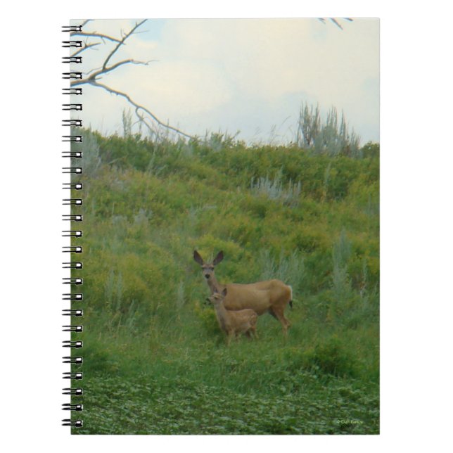 Carnet D5 Mule Deer Doe et Fawn (Devant)