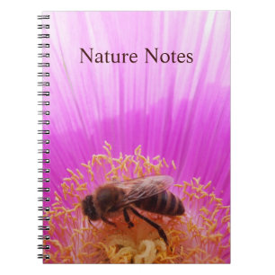 Carnet d'abeille