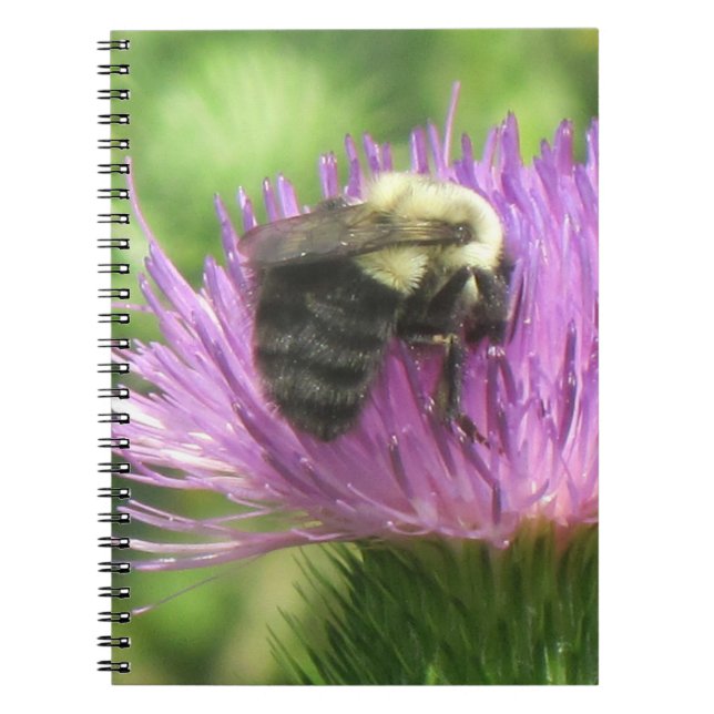 Carnet d'abeilles et de chardon (Devant)