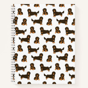 Carnet Dachshund aux cheveux longs