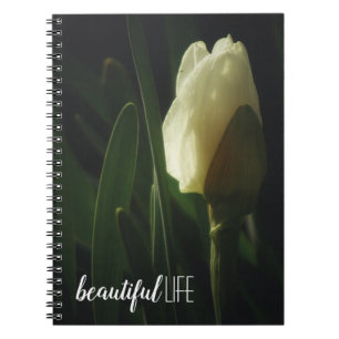 Carnet Daffodil Fleur Photographie Belle vie