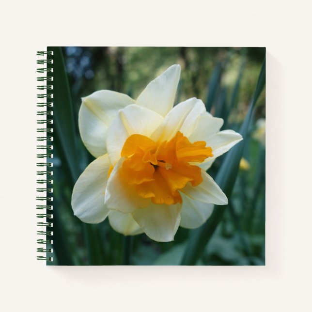 Carnet Daffodique (Devant)