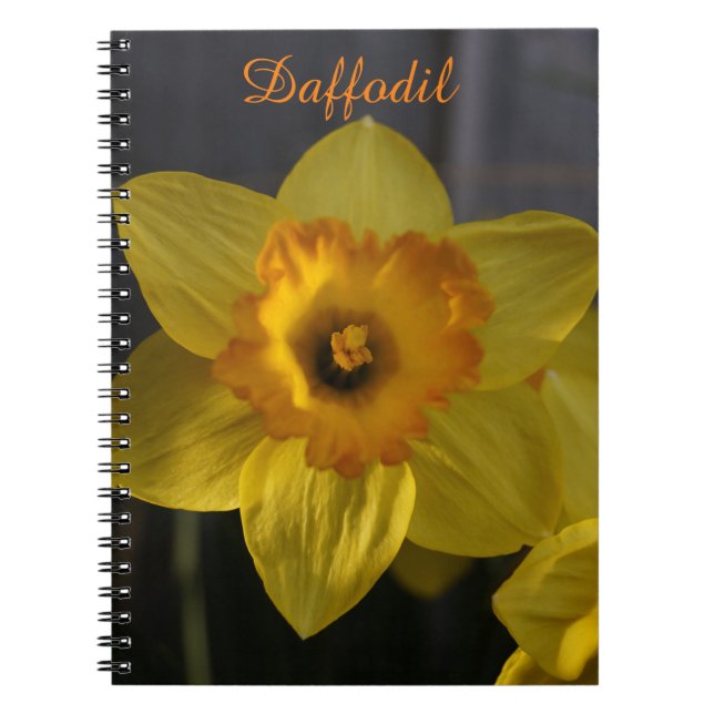 Carnet Daffodique jaune (Devant)