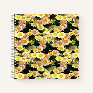 Carnet Daisies Galore.......