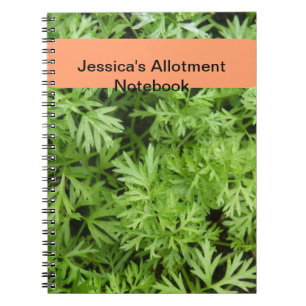 Carnet d'allocation de carottes
