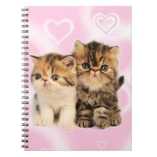 Carnet d'amis