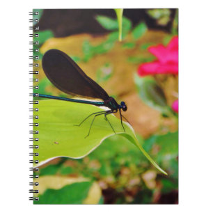 Carnet Damselfly et Rose