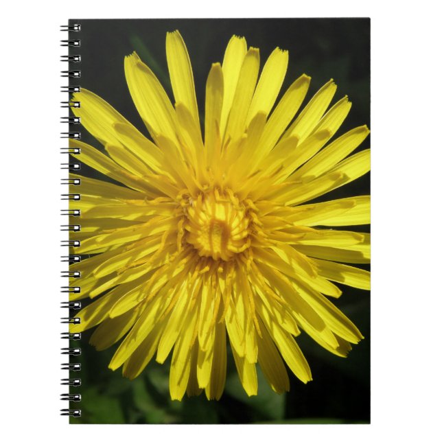 Carnet Dandelion (Devant)