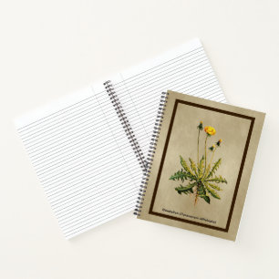 Carnet Dandelion Sur Vieux Papier