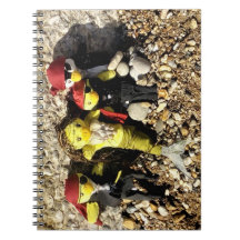 Danni la sirène et les pirates