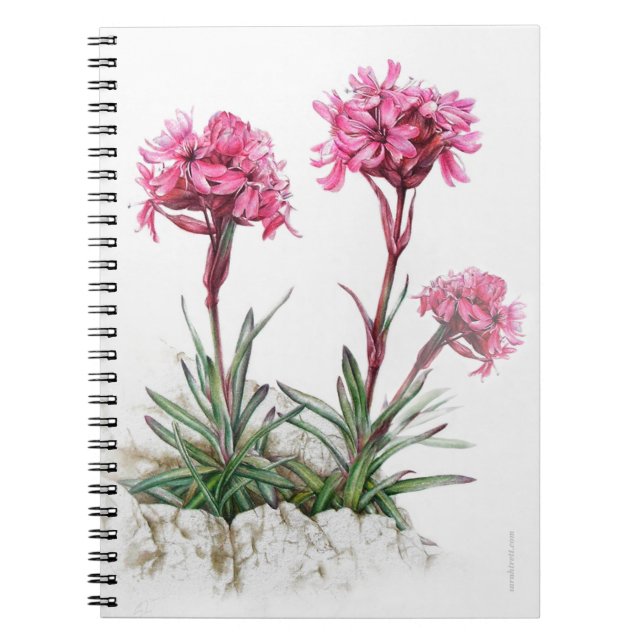 Carnet d'aquarelle alpine (Devant)